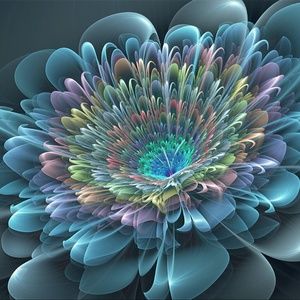 Meet your Posher, Rosa